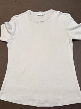 Zara NWOT pale gray tee Sz XS/S